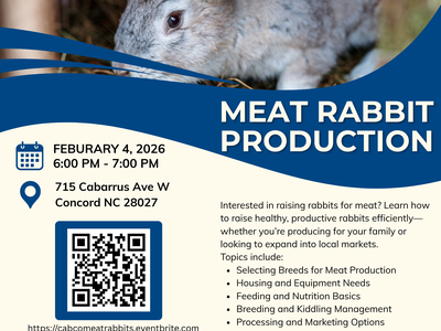 Meat Rabbit Production flyer with rabbit photo; Feb 4, 2026 6–7 PM; 715 Cabarrus Ave W, Concord NC