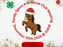 Horse Flyer with Holiday theme