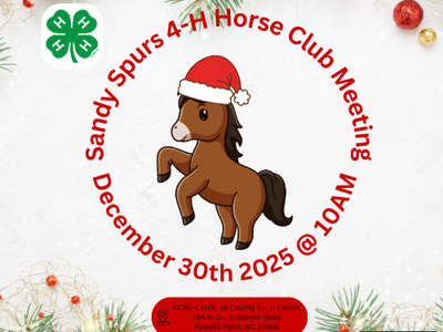 Horse Flyer with Holiday theme