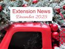 December 2025 Newsletter