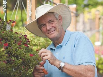 Older man in wide-brim hat pruning a hanging flowering basket with small shears