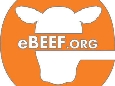 Orange circle with black cow silhouette and text "eBEEF.org" across center