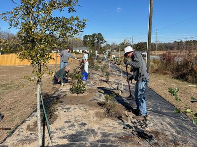Extension Master Gardeners and volunteers work to plant a berm at Haven Place community. Photo courtesy of Amy Mead