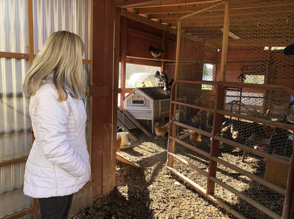 Woman in white jacket at entrance to chicken coop as chickens roost and wander