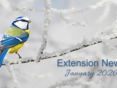 January 2026 Newsletter