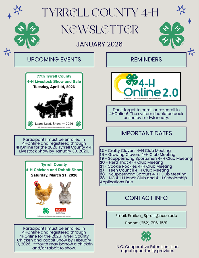 Picture of January's 4-H Newsletter