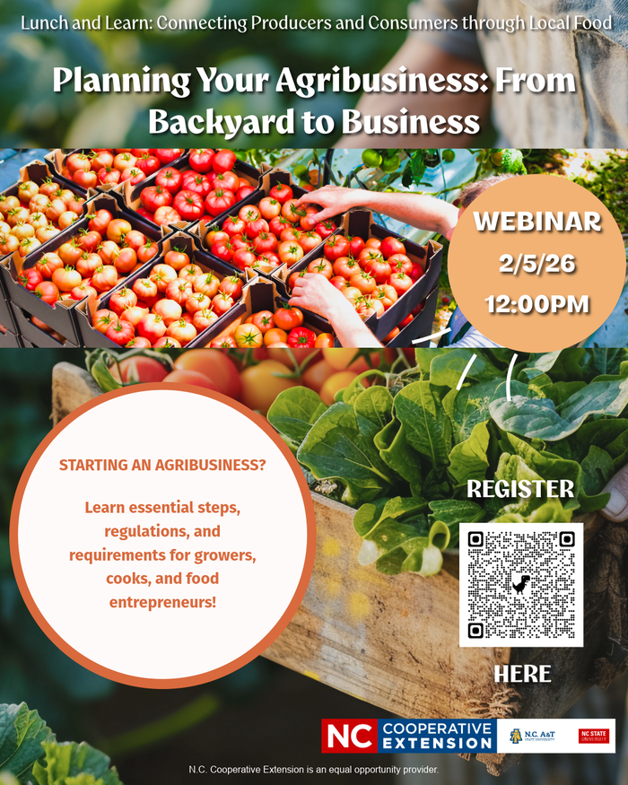 Planning your Agribusiness Flyer