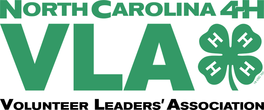 North Carolina 4-H Volunteer Leaders' Association Lockup.