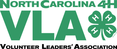North Carolina 4-H Volunteer Leaders' Association Lockup.