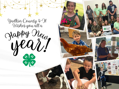 New year in 4-H