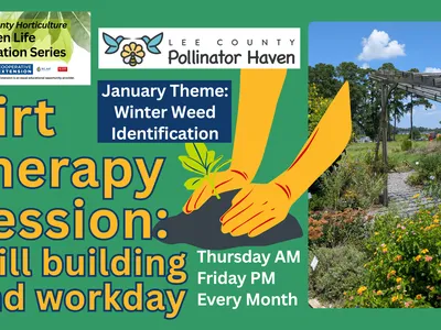 This is the Pollinator Haven Garden dirt therapy banner 2026 which pictures text and a picture of the Pollinator Haven Garden pergola and hands cupping soil