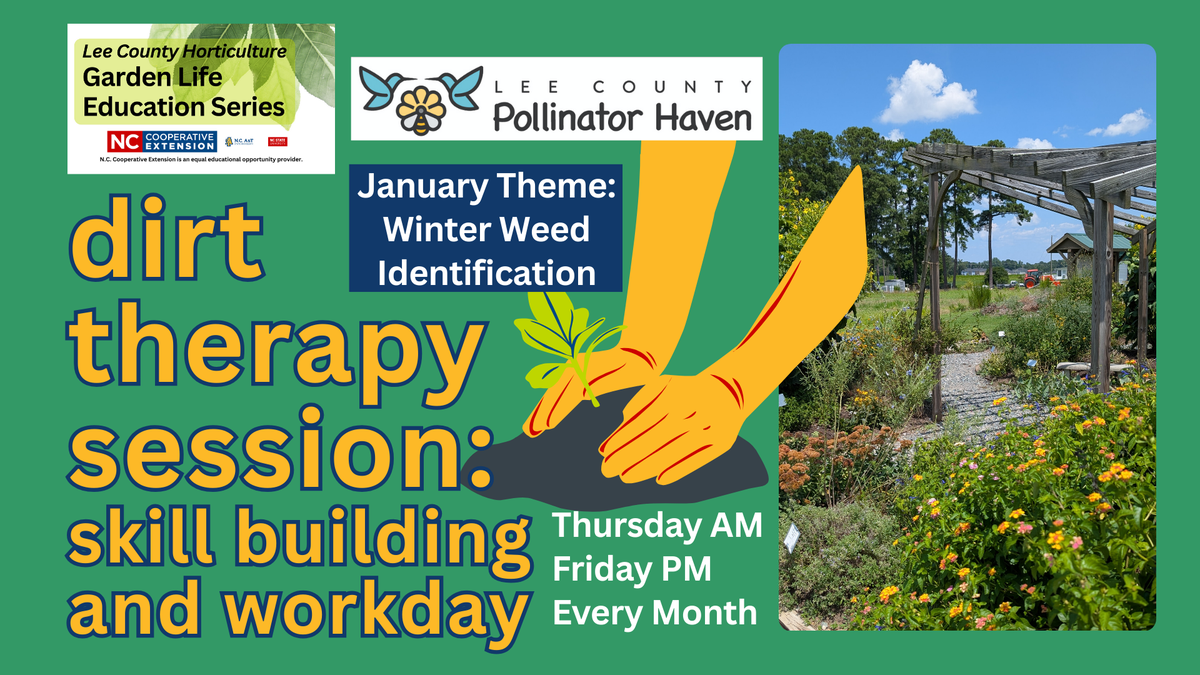 This is the Pollinator Haven Garden dirt therapy banner 2026 which pictures text and a picture of the Pollinator Haven Garden pergola and hands cupping soil