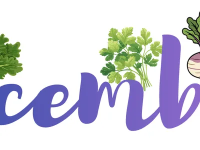 December with cilantro turnips and kale