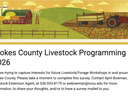 Stokes County Livestock Programming