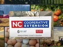 Video image with Extension logo and photos of Agriculture