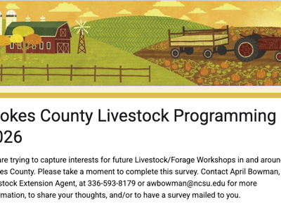 Stokes County Livestock Programming