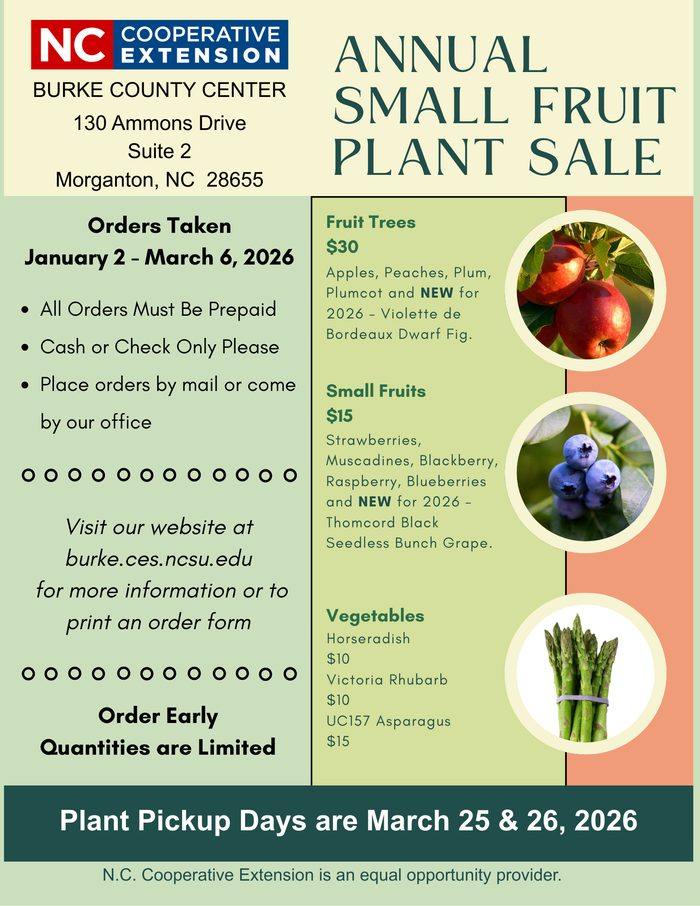 2026 Small Fruit Plant Sale flyer
