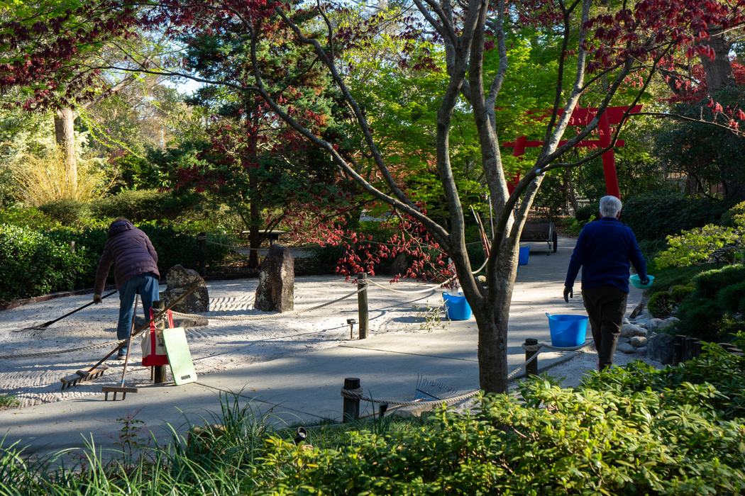 The Japanese Garden volunteer group rakes the dry garden to evoke the lines of the ocean.