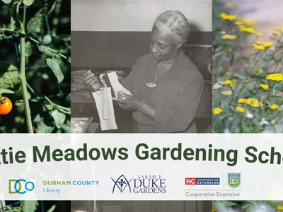 Gardening school banner including pictures of tomato, Hattie Meadows, and native plants