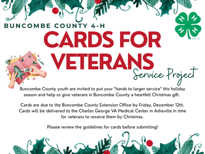 Buncombe County 4‑H: CARDS FOR VETERANS Service Project poster