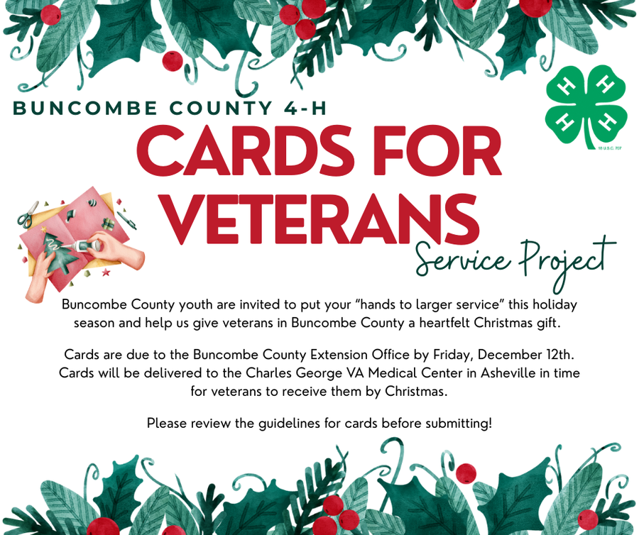 Buncombe County 4-H Cards for Veterans Service Project.