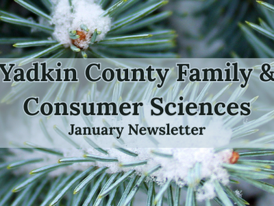 Pine branches with snow; overlaid text: Yadkin County Family & Consumer Sciences, January Newsletter