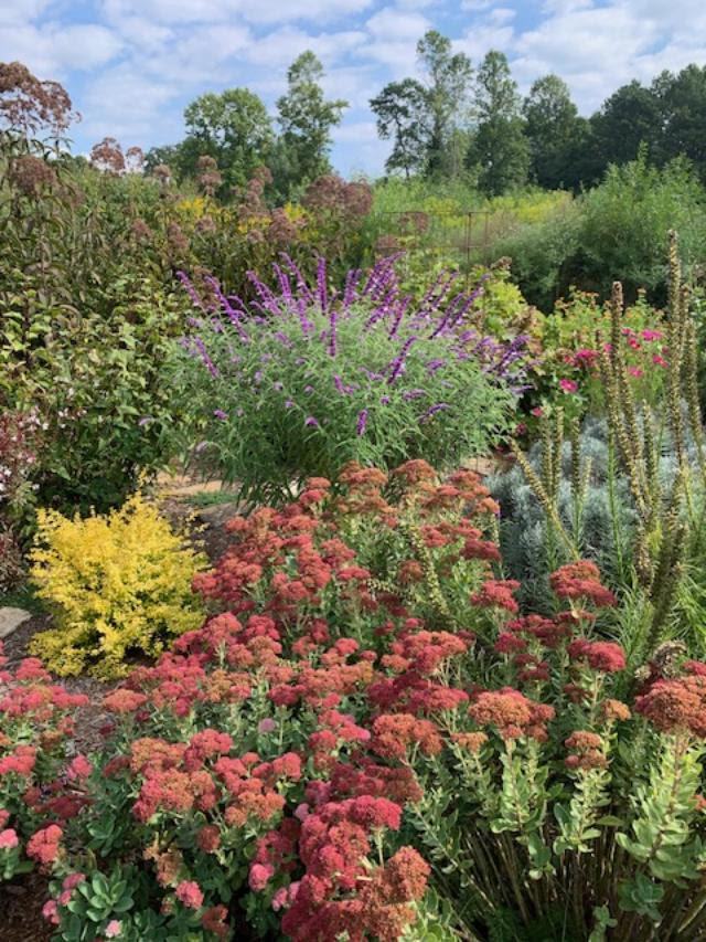 Flat Rock Park Pollinator Garden