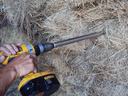 taking a hay sample