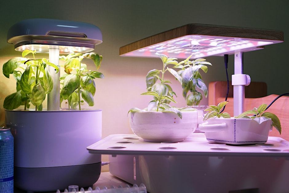 Hydroponics system