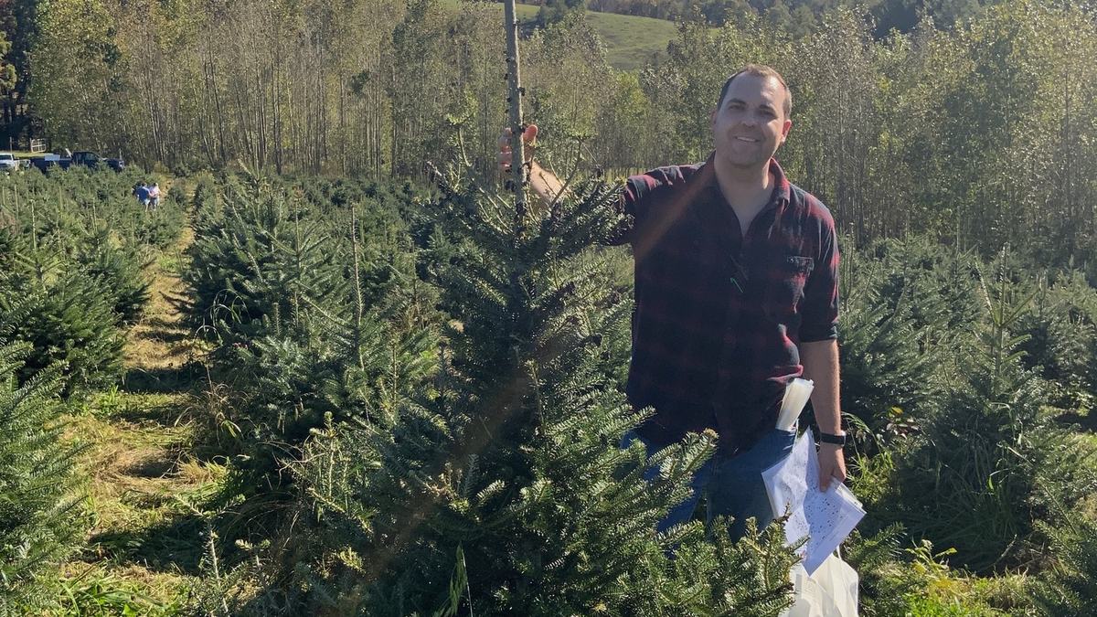 NC State Extension Christmas tree expert Justin Whitehill stands next to a Fraser fir tree in the field as part of his Christmas tree genetics research.