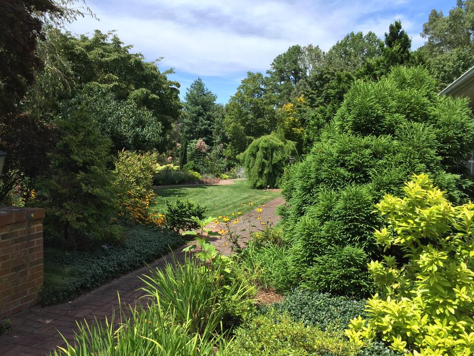 mixed planting Bullington Gardens