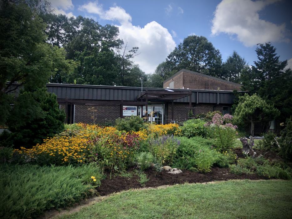 mixed planting office 