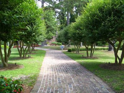 brick walkway through lawn and two rows of trees