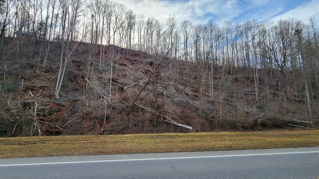 Picture of Hurricane Helene Forest Damage in Rutherford County.
