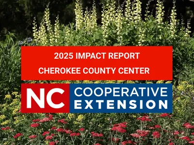 2025 Impact Report