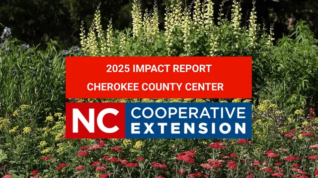 2025 Impact Report
