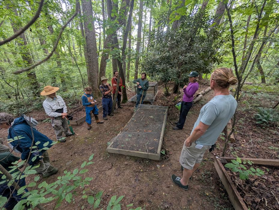 A group of people standing around a raised bed in the woods learning about how to plant native woodland plants on a forest farm.
