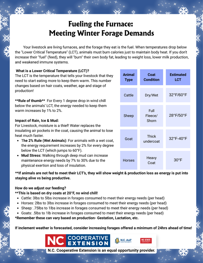 Feed at Sunset: The "heat of fermentation" peaks 4–6 hours after eating. Feeding in the evening ensures the animal's internal heater is cranked up during the coldest part of the night.  Water is the Igniter: Livestock will stop eating if they can't drink. Keep water between 40°F–65°F to encourage maximum forage intake.  Fiber is Better than Grain for Heat: Digesting fiber (hay) produces significantly more internal body heat than digesting starch (corn). In extreme cold, prioritize extra hay.  If you need assistance/guidance with your livestock this winter contact our Livestock Agent, Bailee Sheffield 336-694-4158   This is a practical guide for livestock owners on managing animal nutrition during winter. It focuses on the Lower Critical Temperature (LCT)—the threshold at which animals must burn extra calories just to maintain their body heat. When temperatures drop below this point, the flyer emphasizes that forage (fuel) must be increased to prevent weight loss, reduced milk production, and weakened immunity.