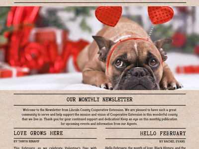 cover page of February 2026 Newsletter