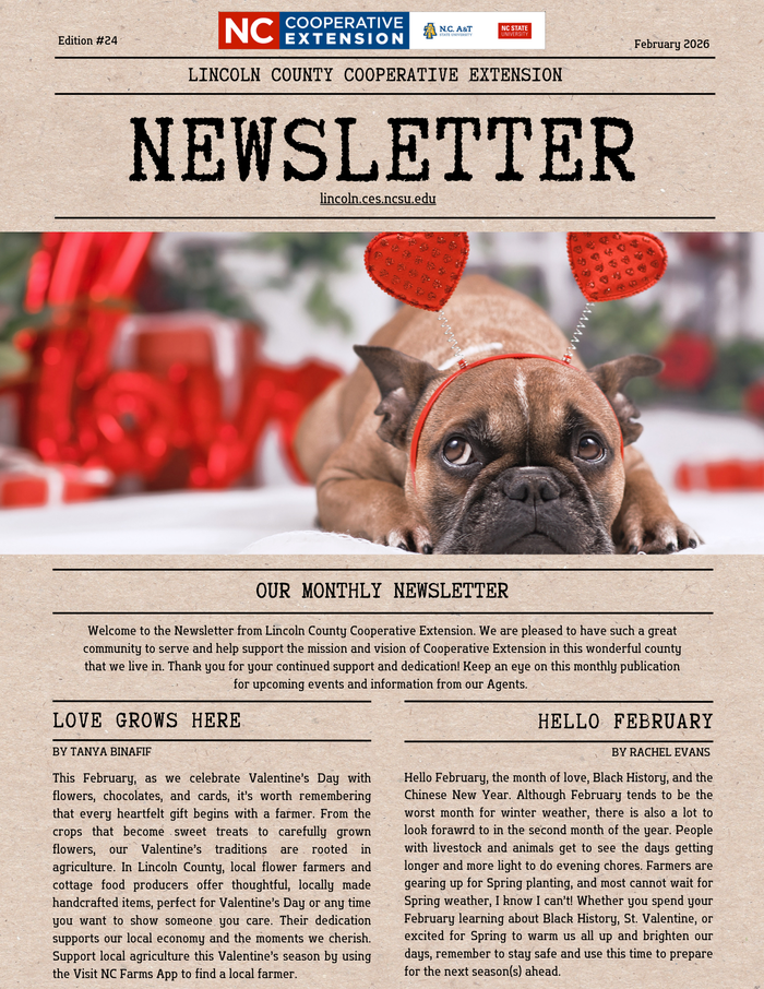 Cover page of February 2026 Newsletter