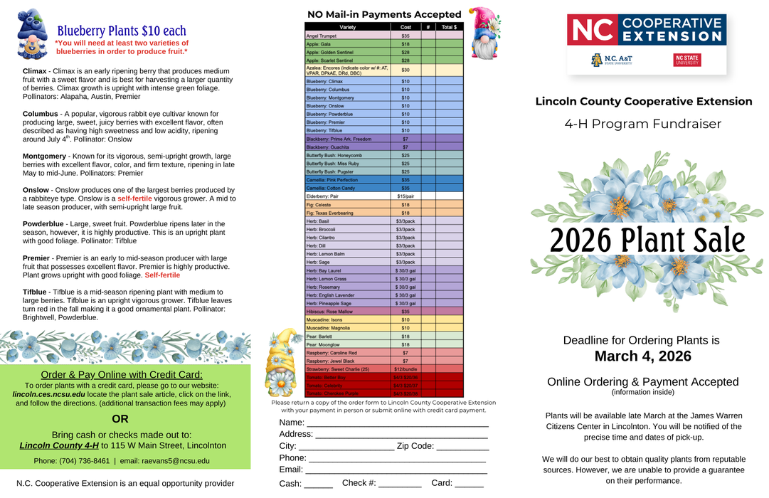 front of 2026 Plant Sale Brochure with order form and blueberry information