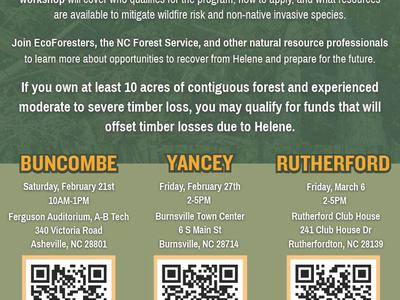Timber Loss Workshop for Land Owners