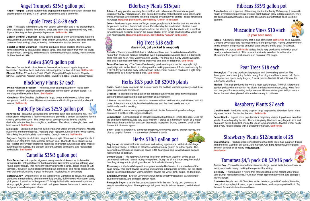 inside 2026 Plant Sale order brochure with plant information