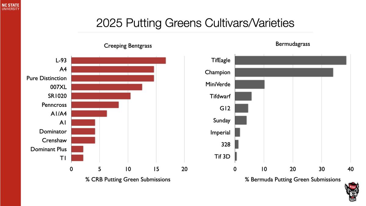 2025 Putting Greens cultivars: bar charts for Creeping Bentgrass and Bermudagrass (TifEagle highest)