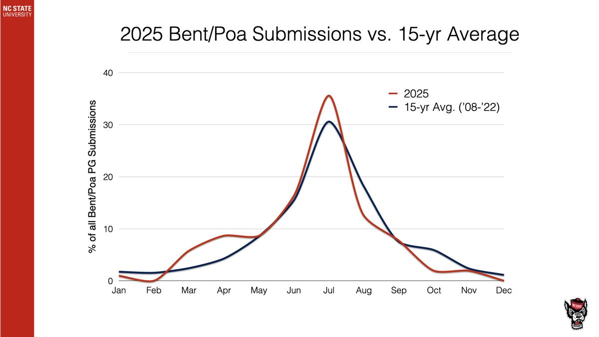 Line chart comparing 2025 vs 15-yr avg Bent/Poa PG submissions by month (peak Jul–Aug)