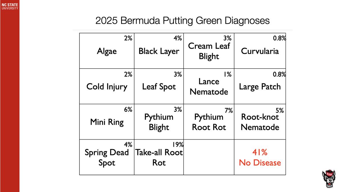 2025 Bermuda putting green diagnoses table listing turf problems with percentages; 41% No Disease