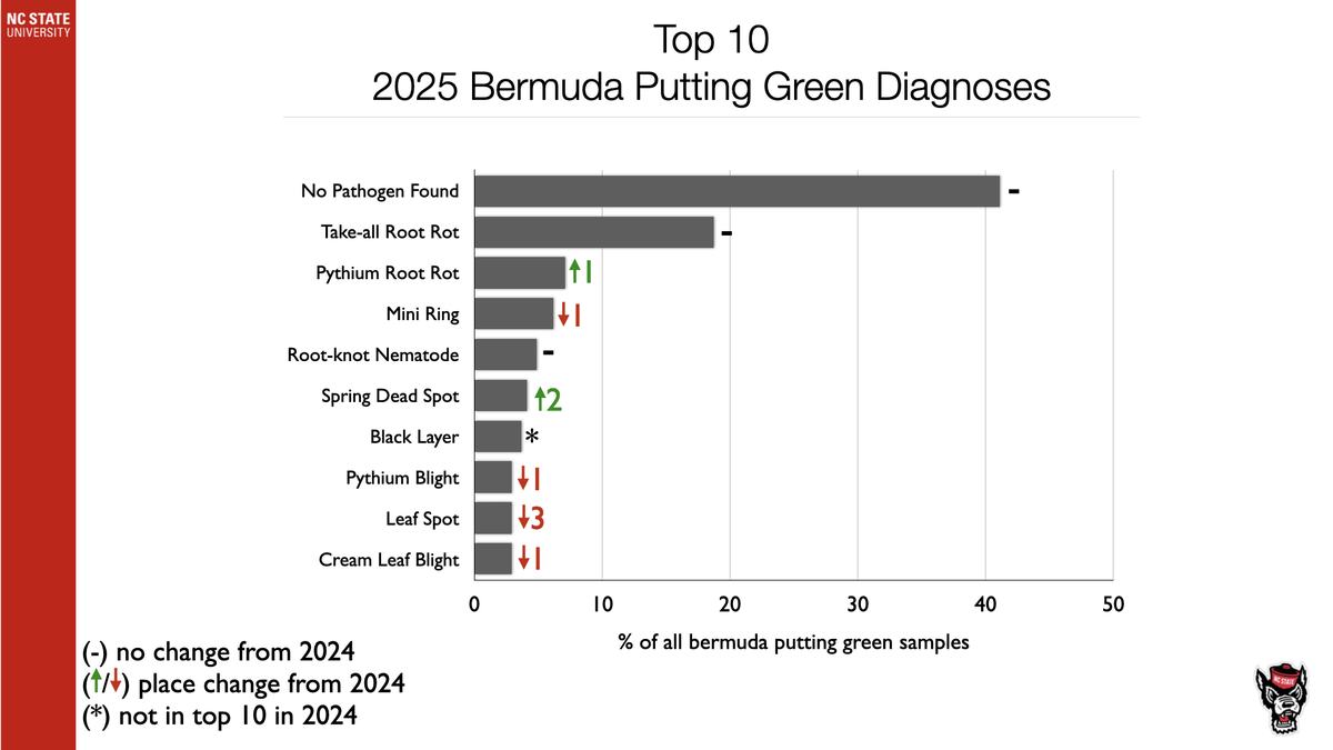 Top 10 2025 Bermuda putting green diagnoses bar chart; "No Pathogen Found" is highest.