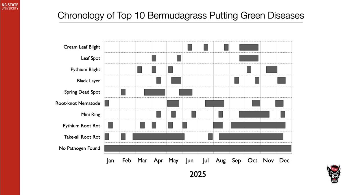 Chronology chart showing months (Jan–Dec 2025) of top 10 bermudagrass putting green diseases