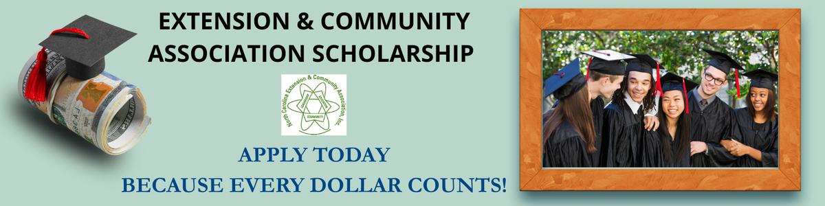 Extension & Community Association Scholarship
