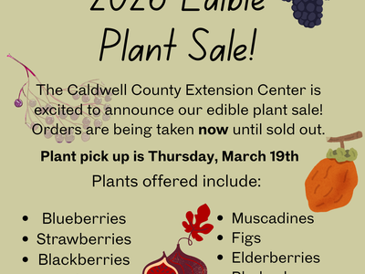 Flyer with different fruits and information about the plant sale